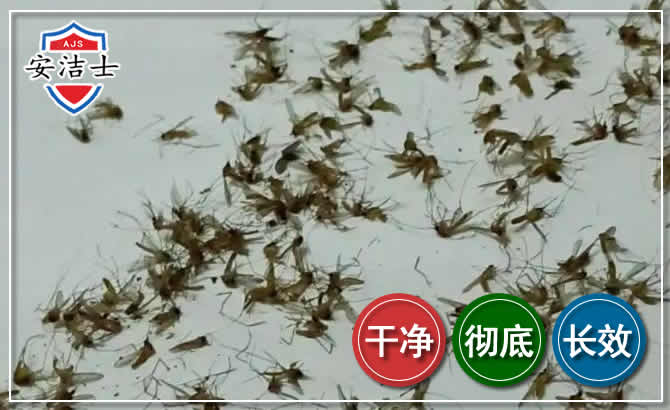 琼中苍蝇防治-灭蝇