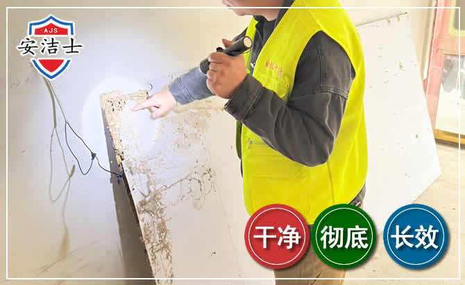 琼中除白蚁现场