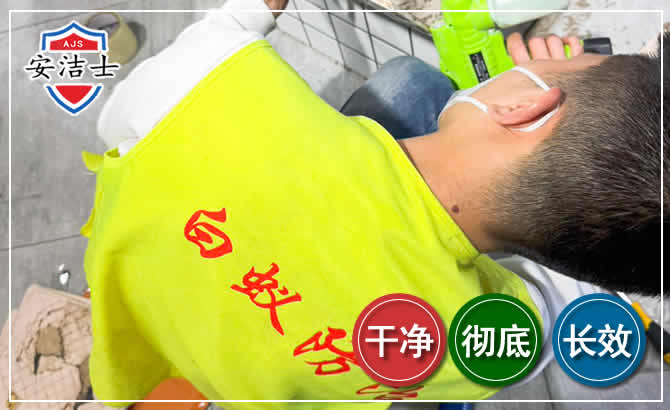 琼中白蚁根治现场